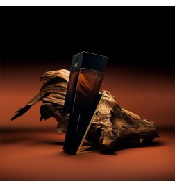 Bad Boy Elixir - Intense Eau de Parfum Bad Boy Elixir - Intense Eau de Parfum